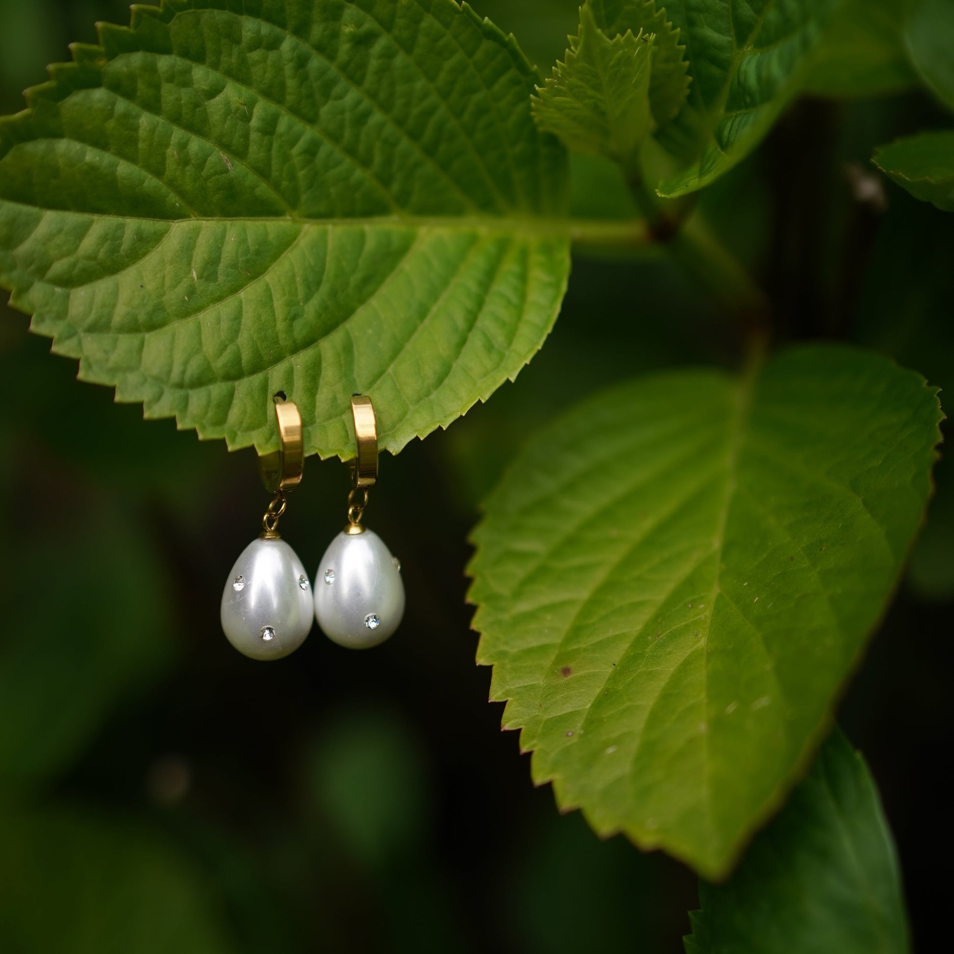 Elegant Stainless Steel Pearl & Crystal Drop Earrings – Gold or Silver Finish