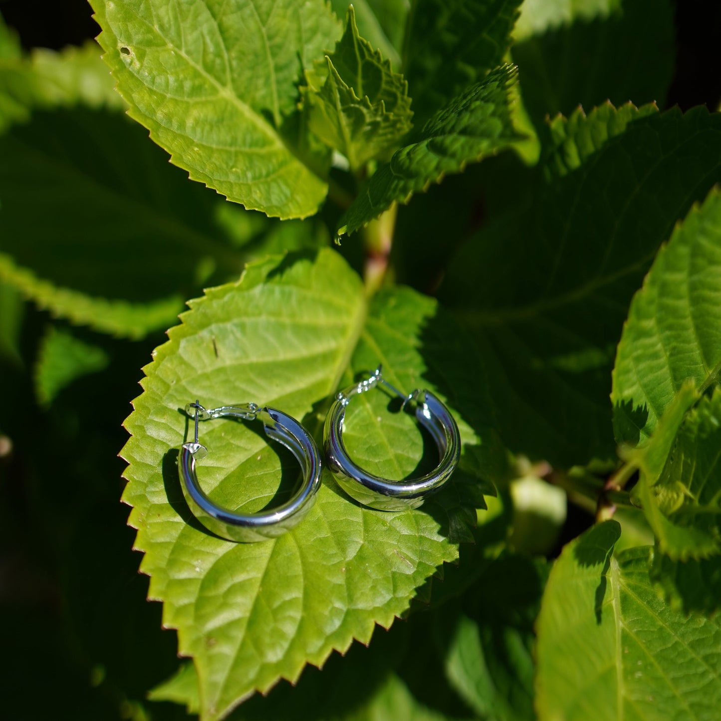 Classic Polished Stainless Steel Hoop Earrings β Gold & Silver Finish