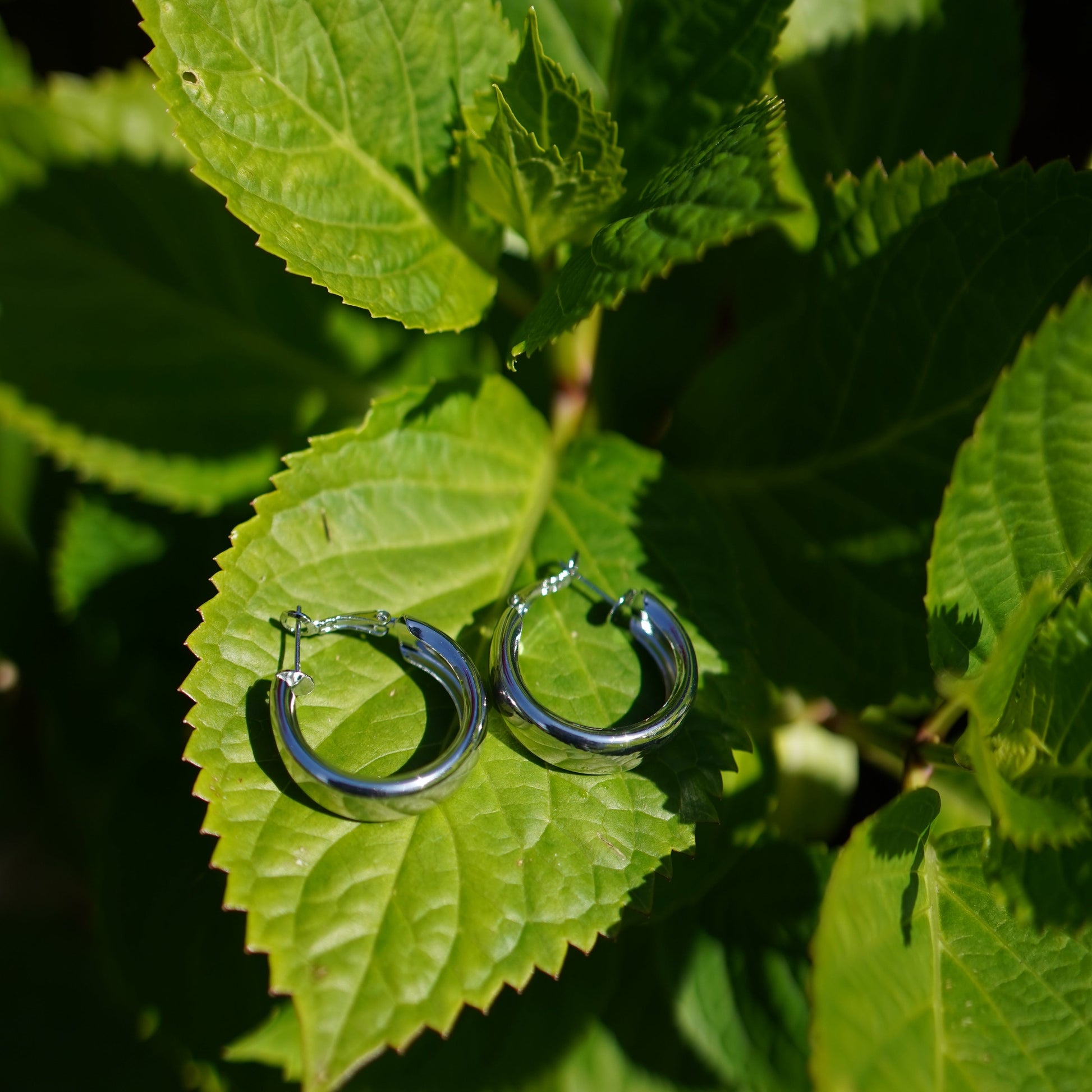 Classic Polished Stainless Steel Hoop Earrings β Gold & Silver Finish