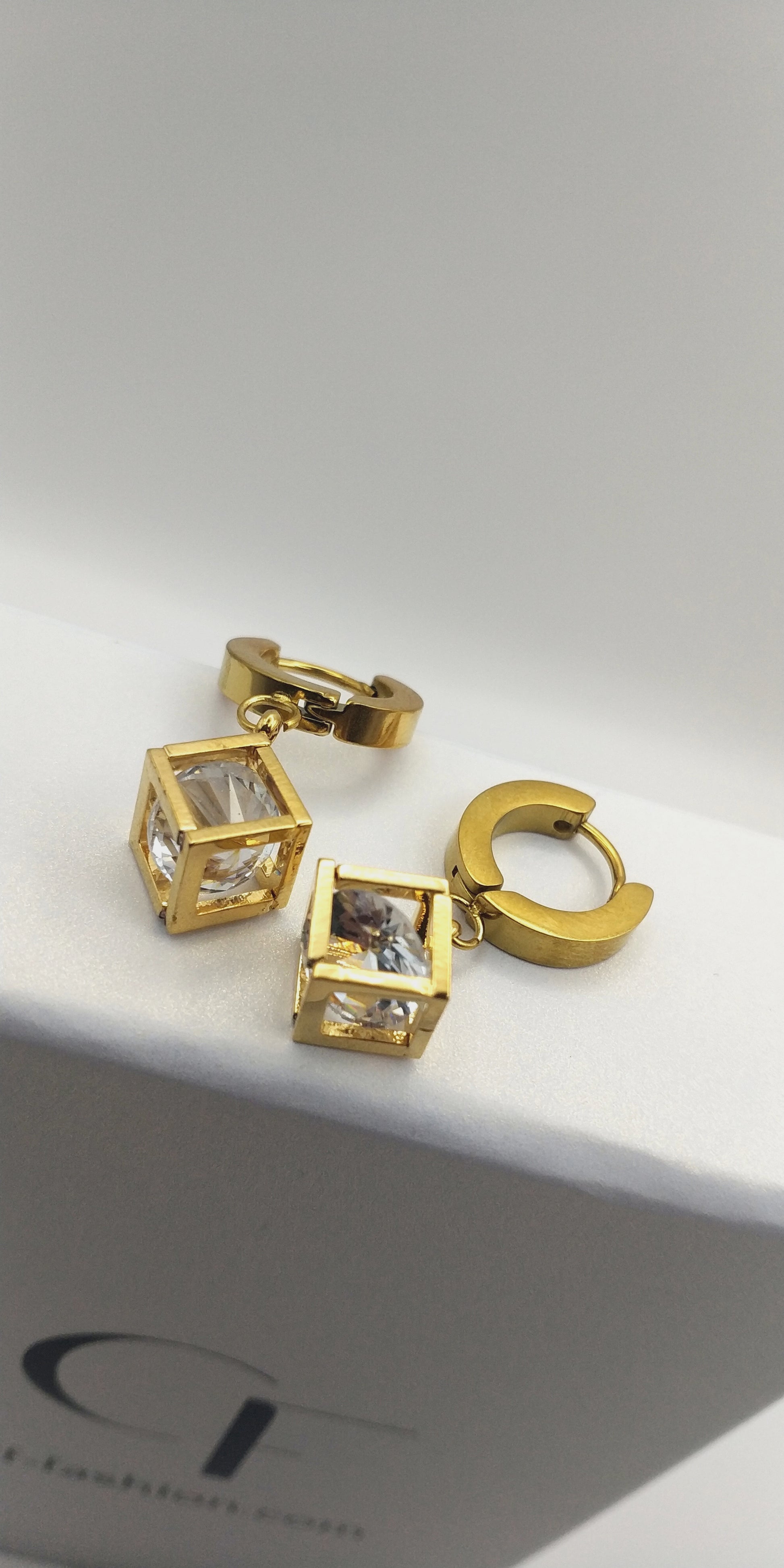 Geometric Crystal Stainless Steel Hoop Earrings