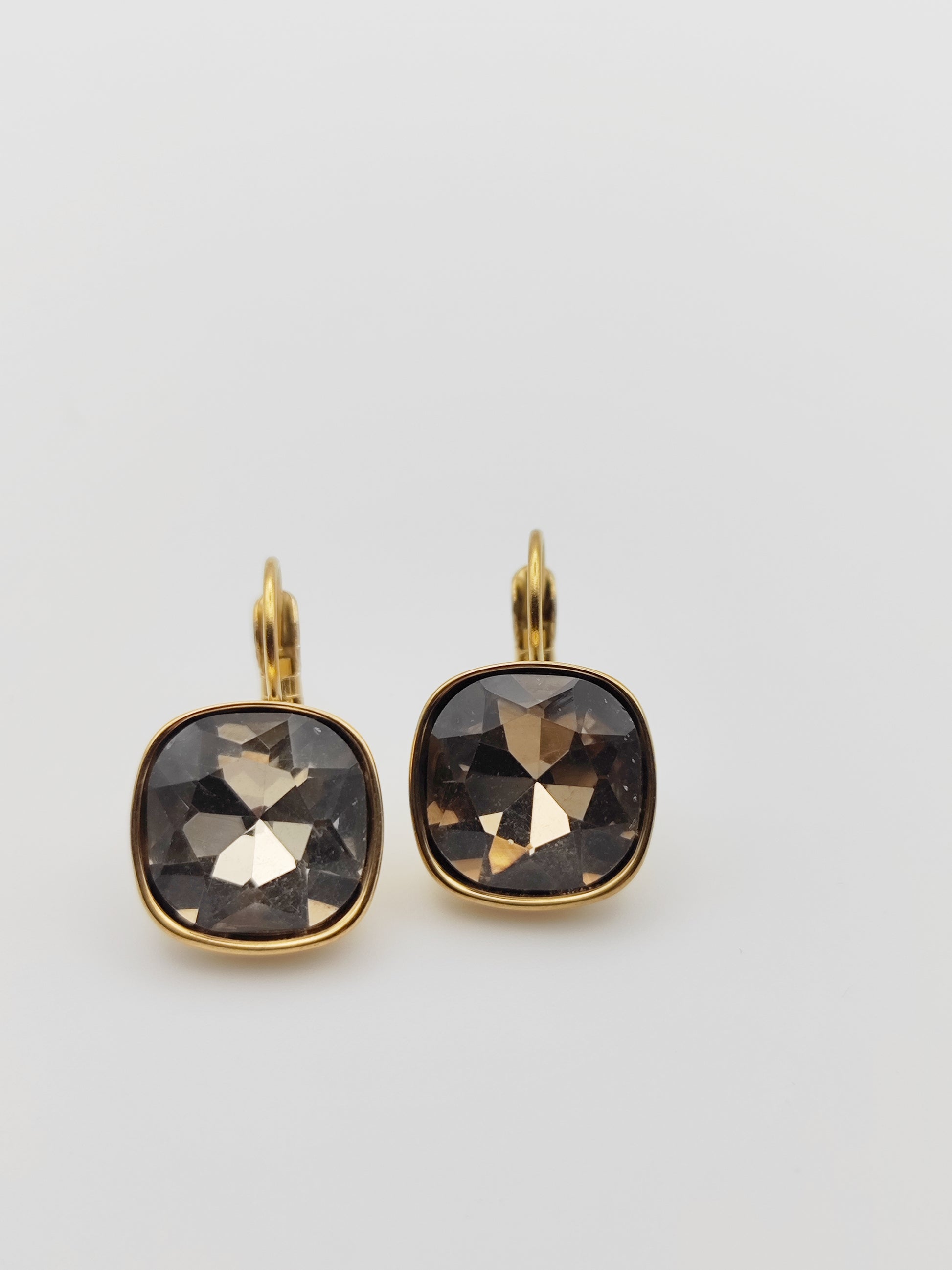 Hypoallergenic Stainless Steel Crystal Earrings grey