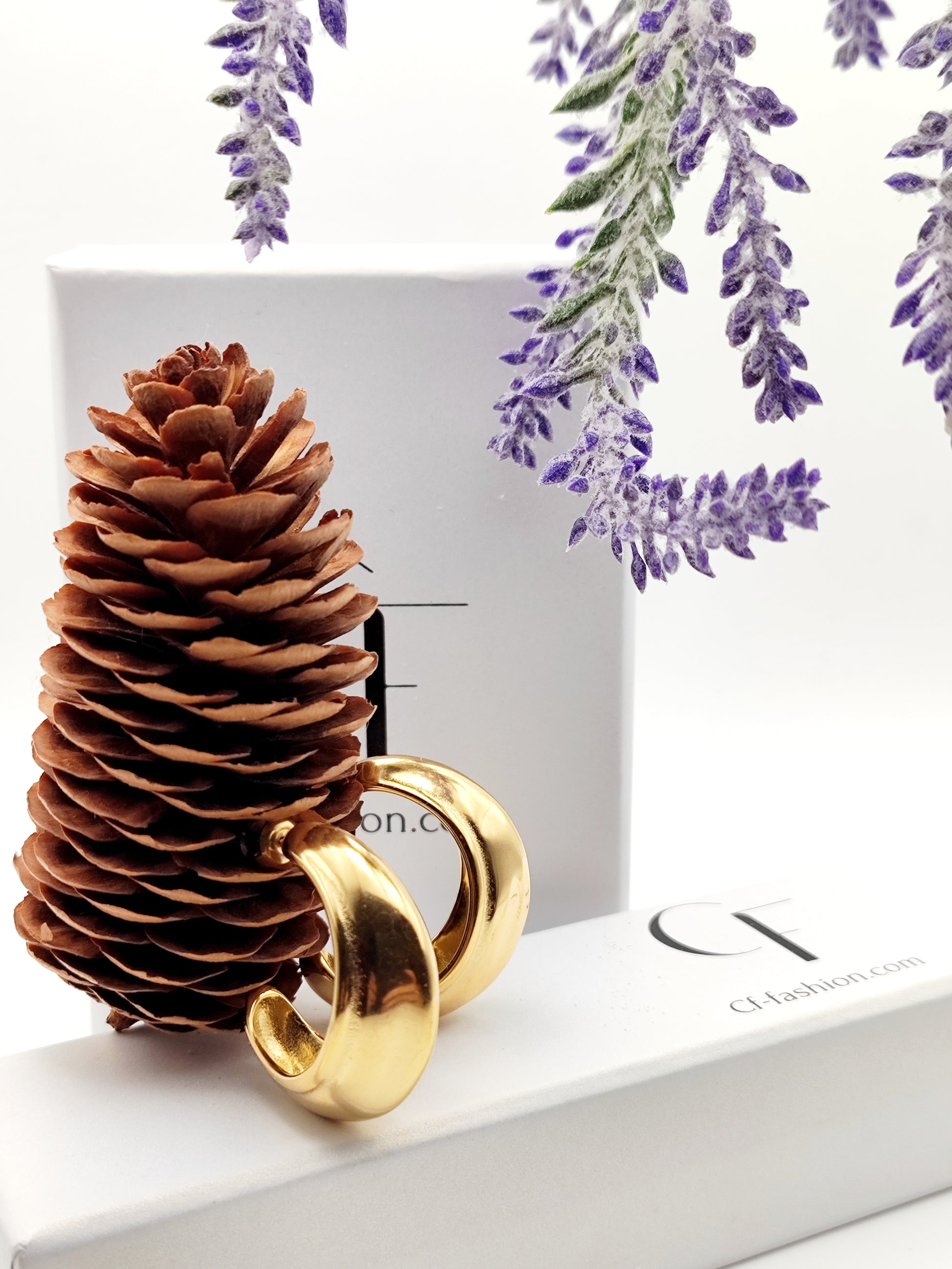 Bold Curved Stainless Steel Hoop Earrings – Wide Ancient Greek Style Hoops in Silver or Gold