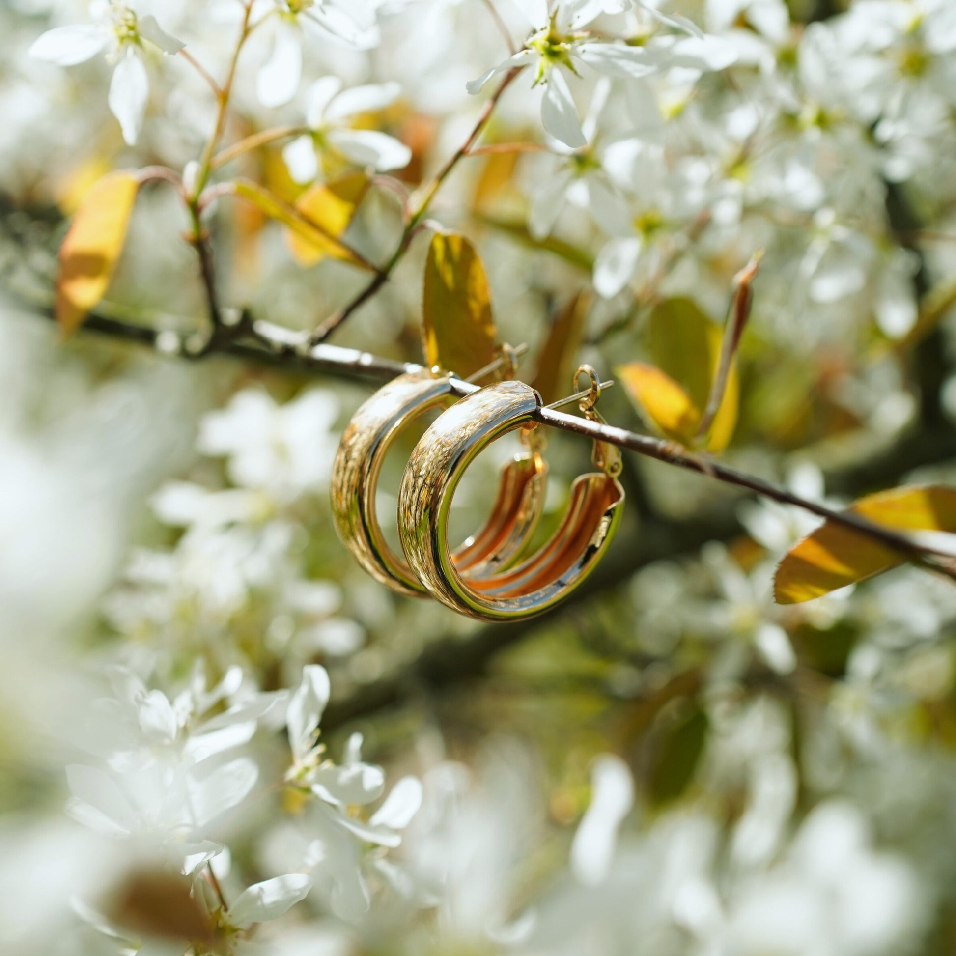 Classic Polished Stainless Steel Hoop Earrings β Gold & Silver Finish
