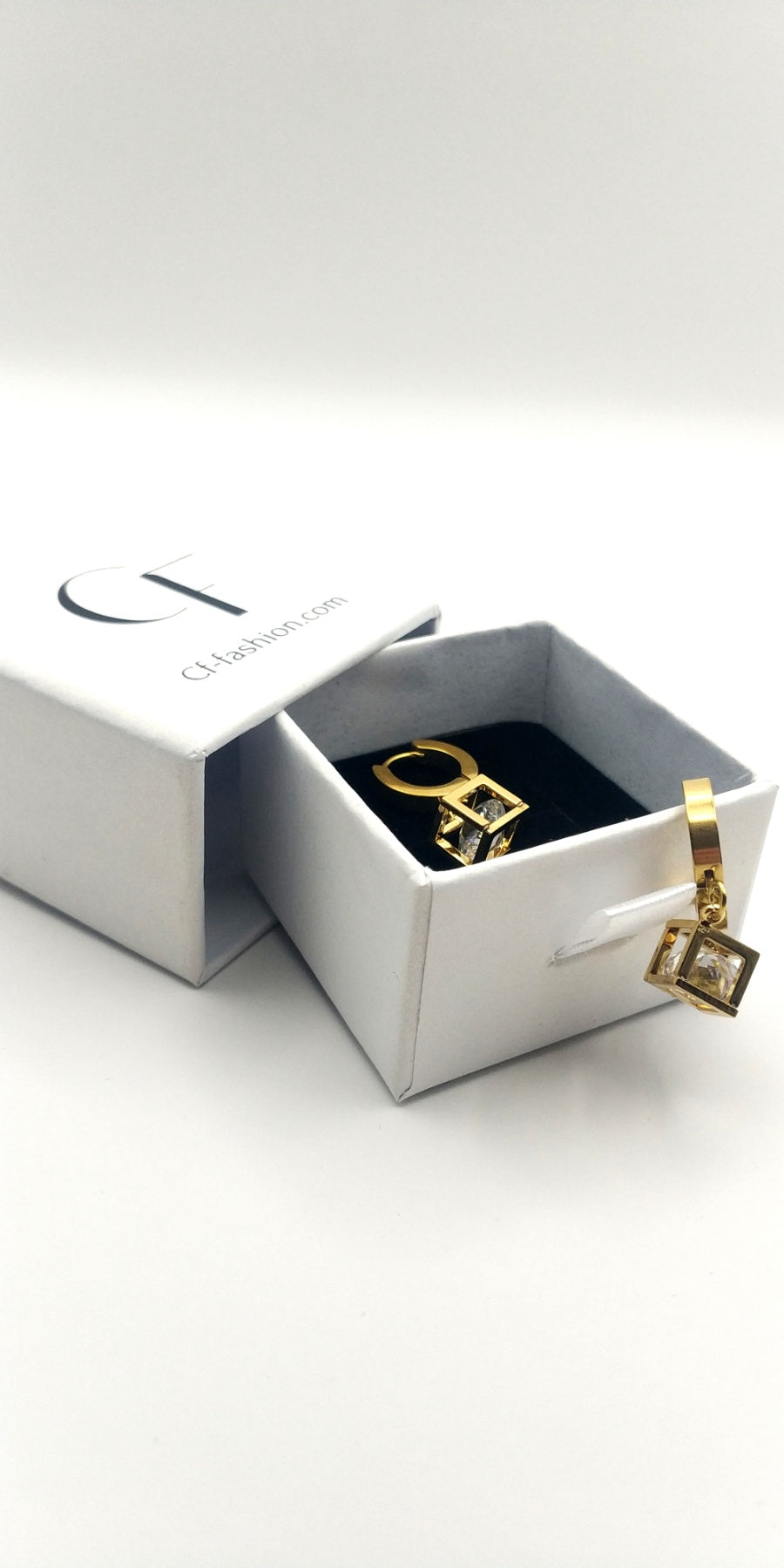 Geometric Crystal Stainless Steel Hoop Earrings