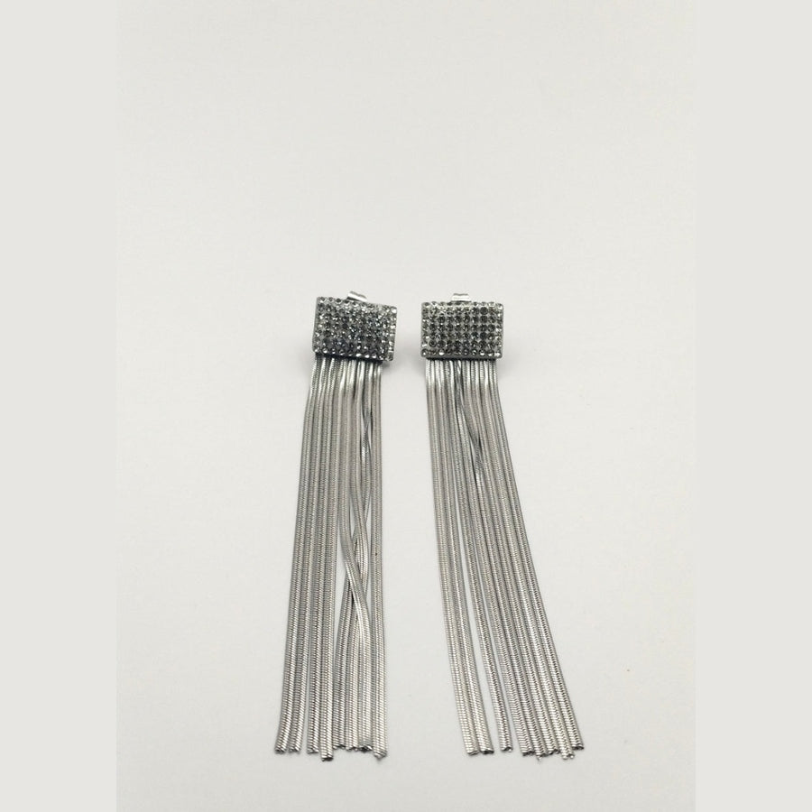 Glam Chain Stainless Steel Tassel Earrings