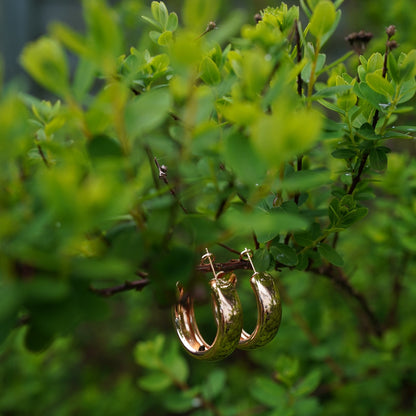 Classic Polished Stainless Steel Hoop Earrings – Gold & Silver Finish