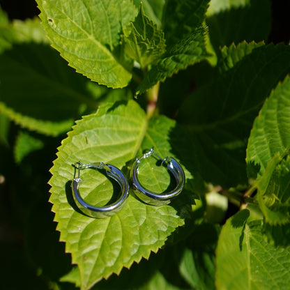 Classic Polished Stainless Steel Hoop Earrings – Gold & Silver Finish